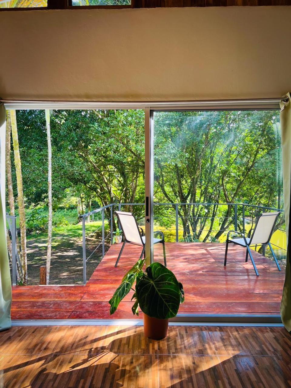 Ficus House Lejlighed Boca Tapada Eksteriør billede