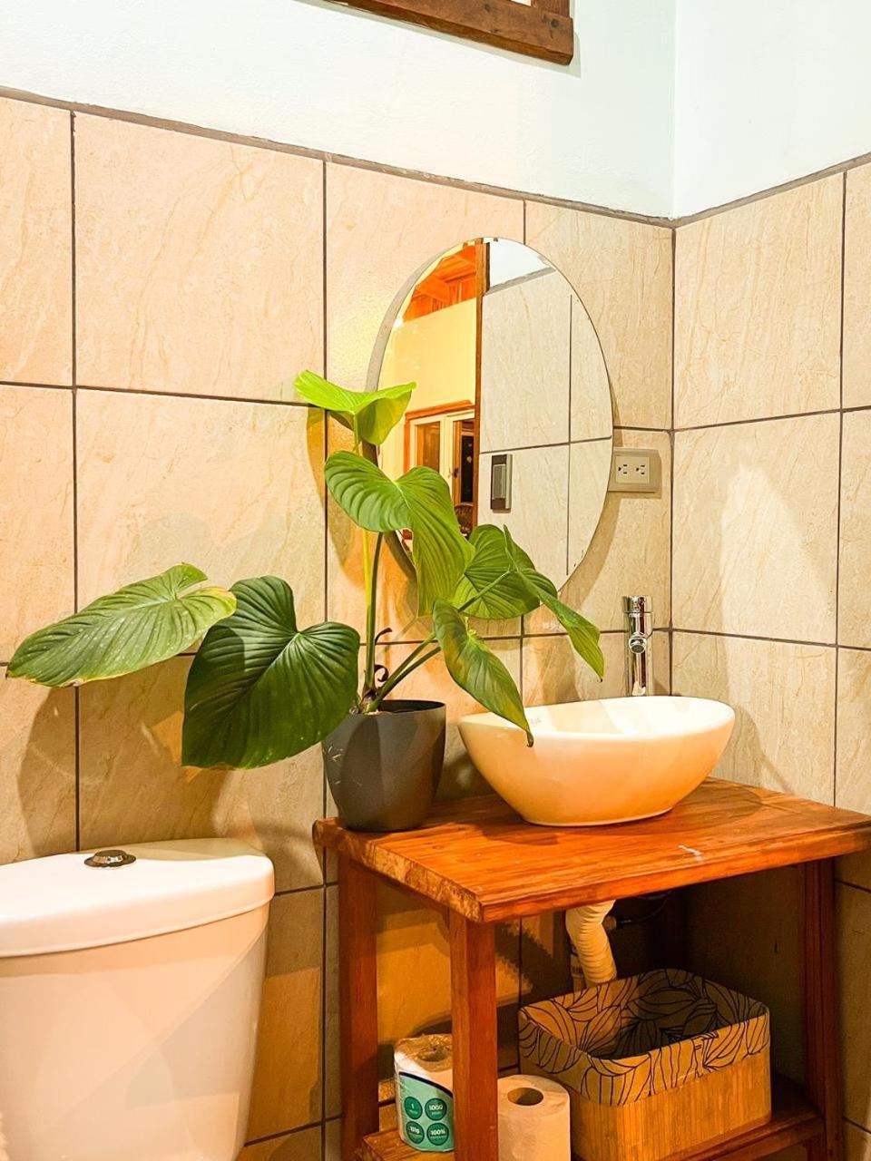 Ficus House Lejlighed Boca Tapada Eksteriør billede